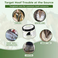 Pure Sole Hoof Clay for Horses Hoof Mud | for Horses with Thrush-Prone Hooves, Deep Sulcus Cracks & White Line Issues | 
