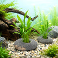 6 PCS Natural River Stone Plant Weights for Aquarium, 0.8'' Hole Diameter