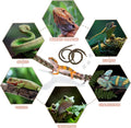 2 Pcs Reptile Vines for Climbing Bendable Jungle Vines Made of Handmade Umbrella Cord Weaving Rope Decor with 3 Suction 