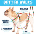 2 Hounds Design Freedom No Pull Dog Harness, Adjustable Harness, Easy Walking & Comfortable Control, Fits Small, Medium & Large Dogs, Solid Colors, Made in USA, 1" MD, Raspberry