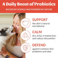 SKOUT'S HONOR Probiotic Itch Relief Spray for Dogs, 8 oz