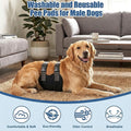 Dog Diapers Male, Washable Male Dog Belly Band with Dual Minimalist Narrow Straps, Pee Wraps for Doggie in Incontinence 