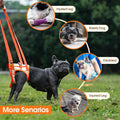 Allroaring Dog Lift Harness with Soft Pads, Orange, S