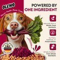 Olewo Original Red Beets for Dogs – Internal Support Dog Food Topper for Skin Sensitivity and Overall Balance, Prebiotic Fiber and Whole Food Nutrients, 1 lb