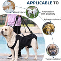 Full Body Lift Harness for Dogs,Canine Support Rehabilitation Dog Carrier Slings with Handles,Adjustable Lifting Straps 