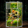 Jumping Spider Enclosure - Acrylic Terrarium Habitat for Spiders, Tarantulas, Snail, Mantis, Lizard, and Small Reptiles,