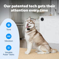 PetSafe Pawz Away 2.0 Wireless Pet Barrier Indoor Kit for Dogs