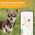 Pawfit Lite 4G GPS Dog Tracker, Live Tracking, Ultra-Light