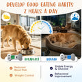 Dog Feeding Reminder Supplies with Magnet, Bone-Shaped Design Brushed Silver, Acrylic Pet Nursing Schedule for Breakfast
