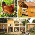 Qinfly Arc-Shaped Chicken Swing Heavy Beech Wood Chicken Toys for Coop Handmade Chicken Swing for Hens Chicken Coop Accessories