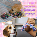 Paterr 12 Pcs Rope Dog Toys Multi Color Puppy Rope Toy Cotton Puppy Toys Dog Chew Puppy Teething Toys for Small and Medium Dogs Puppies