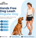 The Buddy System Adjustable Hands Free Dog Leash, Hand-Free Leash for Running, Jogging, Walking, Hiking and Training Service Dogs, Versatile All Dog Sizes - Made in USA - Regular, Black
