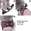 Matilor Dog Harness Step-in Breathable Puppy Cat Dog Vest Harnesses for Small Medium Dogs