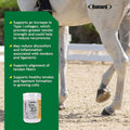 Ramard Total Tendon Repair –Advanced Powder Supplement with Vitamin C, Collagen, and MSM for Horse Joint, Ligament, and 