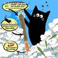 LIT LABS Catnip Joint - 5 Organic Pre-Rolls Papers to Fix a Bad Cattitude - Funny Cat Toy for Indoor Cats with Existential Dread