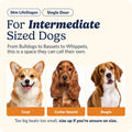 MidWest Homes for Pets Intermediate LifeStages Single Door 36-Inch Folding Dog Crate, Enhanced Security, Includes Leak-Proof Pan, Divider Panel, Handle, Rubber Feet