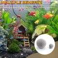 Shrimp Tourmaline 10 Pcs Rich in Calcium 30 Elements for Health,Color, Molt