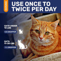 Antibiotics for Cats in Drops – Сat Respiratory Infection Treatment: Cold, Cough, and Allergies – Cat UTI Treatment with Turkey Flavor – May Support Hips & Joints – Proper for All Ages & Breeds – 2 Oz