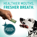ORAVET Dental Chews for Dogs, Oral Care and Hygiene Chews (Medium Dogs, 25-50 lbs.) Purple Pouch, 30 Count