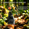 Dual-Use Bird Harness & Bungee Leash Set w/Wings, 3 Rings, Yellow, Size L