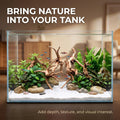 1 Pc Natural Driftwood for Aquarium, Reptile Branches Terrarium Wood Aquarium Trunk Driftwood Tree Fish Tank Log Decorat