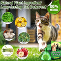 Cat Deterrent Outdoor, 12 Pack Natural Peppermint Oil Cat Deterrent Outdoor& Indoor with Essential Oils Keep Cats Away f