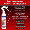 Show Out Skin & Wounds Spray for Dogs — Helps Control Dog Mange & Itchy Skin | Natural Relief for Hot Spots, Ringworm & 
