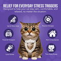 Cat Melatonin Drops, Liquid Melatonin for Cats for Grooming, Travel and Vet Visits, Calming Cat Sedative for Grooming, C