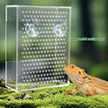 Bearded Dragon Feeder, Chameleon Bug Bowl, Transparentk Acrylic Reptile Feeder Box, Wall-Mounted Insect Food Dish with S