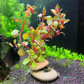 Natural River Stone Plant Weights for Aquarium, Handmade Pebble Anchors for Aquatic Plants, Fish Tank Decorations, Uniqu