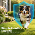 Topical Flea and Tick Care for Dogs, Monthly Application Dogs Over 6 Weeks