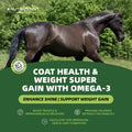Horse Ground Flaxseed Feed, Natural High-Fat Flaxseed Meal for Horses, Coat Shine & Daily Feed Mix, Easy-to-Digest Horse