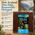 Fernwood New Zealand Tree Fern Orchid Mounting Board - 2 Pack - Size 12x6x1