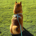 AUMAILI Dog Training Long Leash Waterproof Long Line Heavy Duty Outdoor Recall Lead 10ft 15ft 20ft 30ft 50ft for Small Medium Large Dog (Mint Green, 10FT)