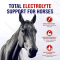 Horse Electrolytes Powder, Tasty Equine Hydration, Just Add to Water, Crisp Apple Flavor, 5 Pound Bag, Made in the USA