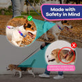 Jelly No Pull No Slip Waterproof Martingale Collar for Dogs, Blue Rose