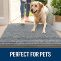 OLANLY Dog Door Mat for Muddy Paws 30x20, Ultra-Absorbent Chenille Mud Mat