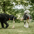 PetiFine Dog Rope Toys for Large Dogs,Indestructible Cotton Dog Chew Toys