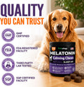 Advanced Melatonin for Dogs - 170 Dog Melatonin Calming Chews for Small and Large Dogs - Natural Hemp Dog Sleep Aid, Puppy Sleeping Pills, Anxiety, Stress, Separation, Barking, Fireworks - Made in USA