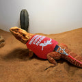 Romansk Bearded Dragon Harness and Leash Set