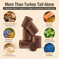 Turkey Tail Mushroom for Dogs & Cats, Immune & Gut Mushroom Chews for Dogs