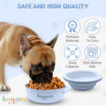 HANARA 2-in-1 Insulated Dog Bowl with Collapsible Lid & Handle – Stainless Steel, Non-Slip Rubber Base – Portable Pet Water & Food Bowl for Dogs & Cats – 30 OZ + 20 OZ – Indoor & Outdoor (Blue)