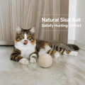 DMZBJ 4-Inch Sisal Cat Toy Balls with Crinkle Sound | Indoor Cat Toys for Teething, Claw Sharpening & Play | Large Size Prevents Rolling Under Furniture (White)
