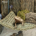 Niteangel Bearded Dragon Seagrass Hammock: Triangle 17'' x 12.5''