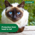 Advantage Treatment Spray for Cats, Kills Fleas & Ticks, 8 oz.