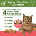 Whimzees Wellness Cat Dental Treats, Freshens Breath, Chicken and Salmon Flavor, 4.5 oz Bag (Pack of 2)