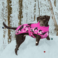 IECOii Extra Warm Dog Coat - Reflective Adjustable Jacket With Buckle Fleece Turtleneck for Cold Weather - Soft Winter C
