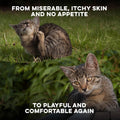 Mange Support for Cats, Natural Cat Itchy Skin, Paws and Ears Relief - Soothes Welts, Scabs, Red and Flaky Skin Reducing Excessive Grooming and Patchy Fur for a Healthy Coat (400 Tiny Tasteless Pills)