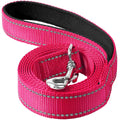 Erbine Reflective Dog Leash 6ft Soft Padded Handle Nylon Lead for Small & Medium Dogs, Durable Walking Training Leash for Night Safety (Hotpink,3/4Inch Wide)