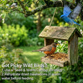 WORMSKING 2LB Dried Mealworms for Poultry, Wild Birds,Tasty Bird Food，Great Bird Watching Gift